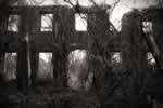 Abandoned House