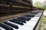 The Piano